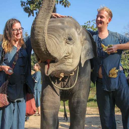 Profile image for pet sitter Martin