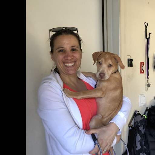 Profile image for pet sitter Allison