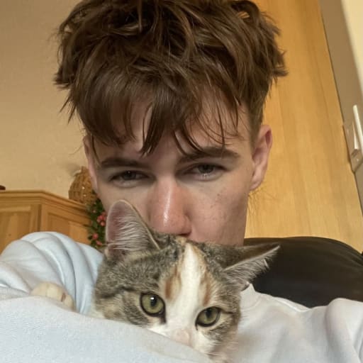 Profile image for pet sitter Donovan