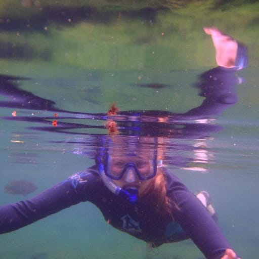 Profile image for pet sitter Jennifer