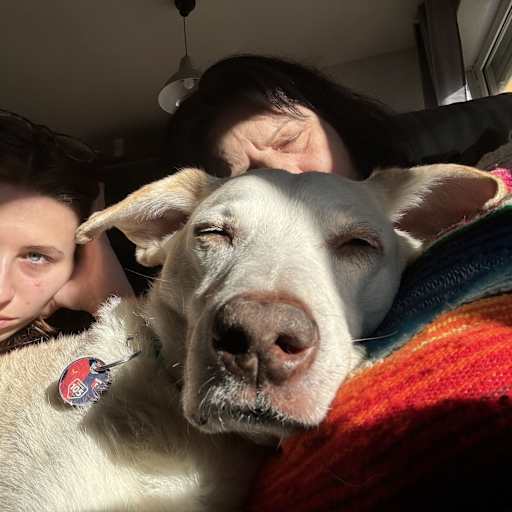 Profile image for pet sitter Silvia
