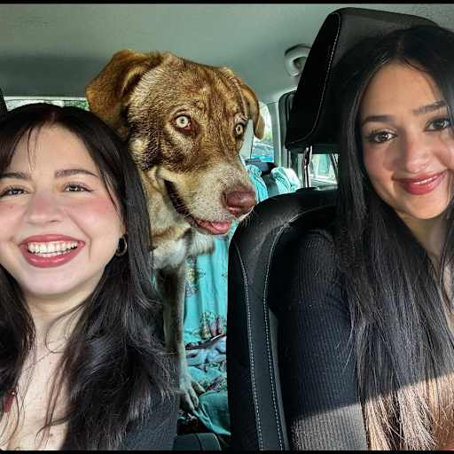 Profile image for pet sitters Alina & Anita