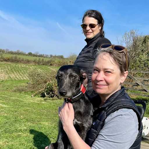 Profile image for pet sitter Rachel