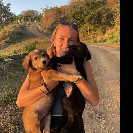 Profile image for pet sitter Michelle