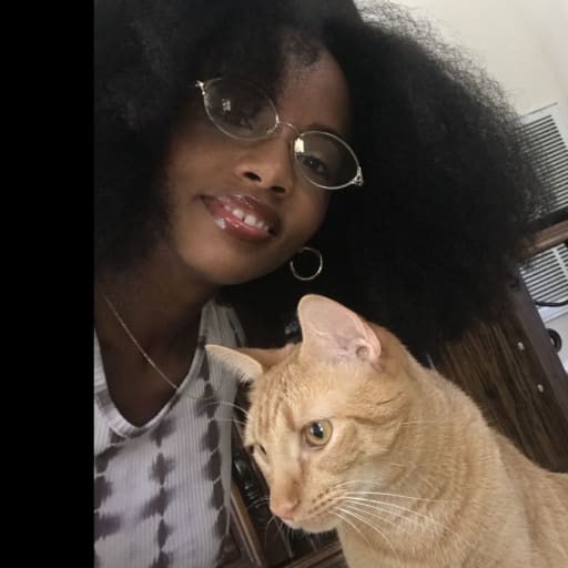 Profile image for pet sitter Egypt