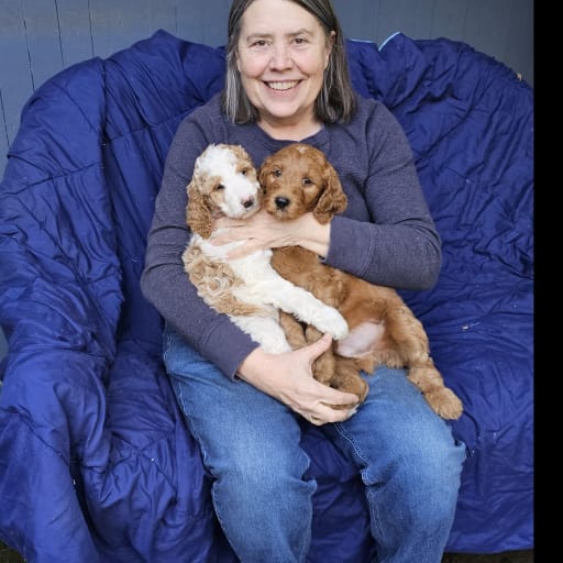 Profile image for pet sitter Susan