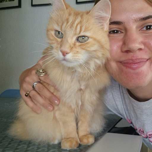 Profile image for pet sitter ledina