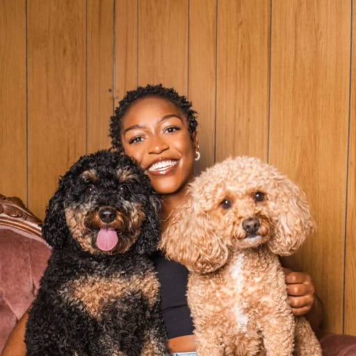 Profile image for pet sitter Bryanna