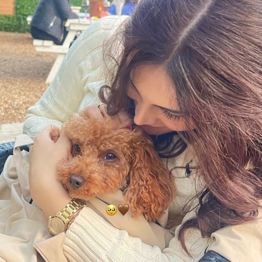 Profile image for pet sitter Azita