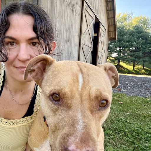 Profile image for pet sitter gili
