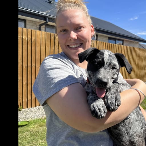 Profile image for pet sitter Donna