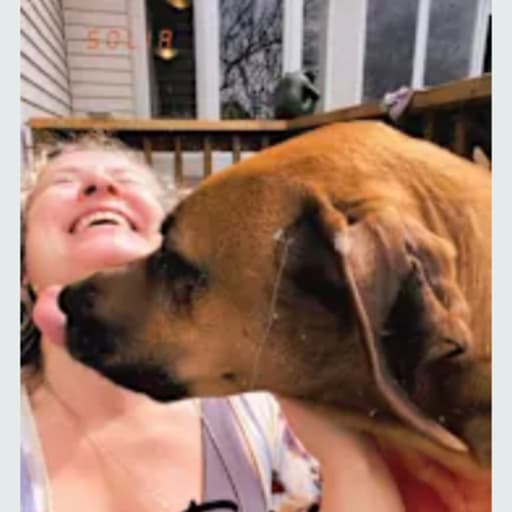 Profile image for pet sitter Solia
