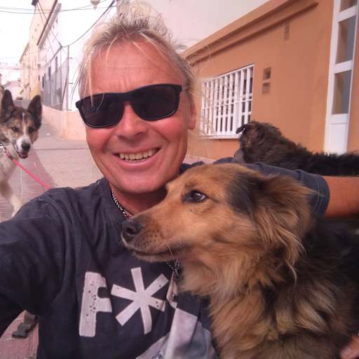 Profile image for pet sitter Rune