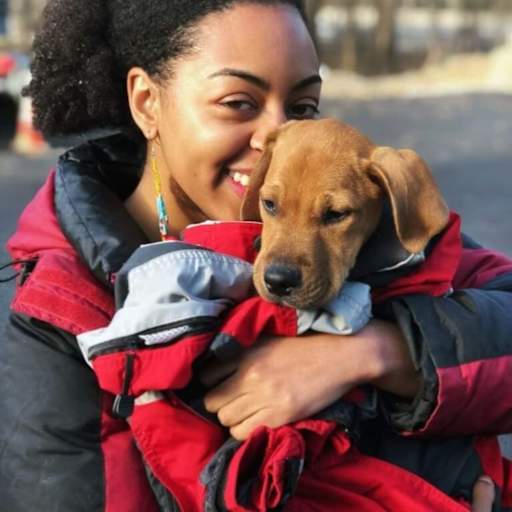 Profile image for pet sitter Keyanna