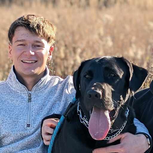 Profile image for pet sitter David