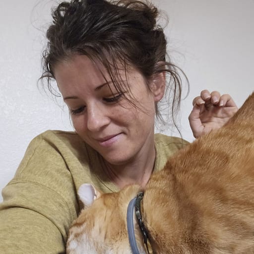 Profile image for pet sitters Kasia & Darby