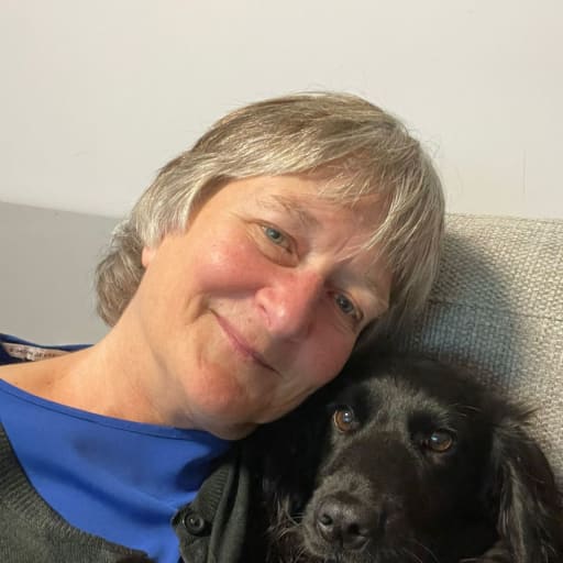 Profile image for pet sitter Clare