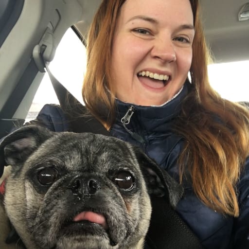 Profile image for pet sitter April