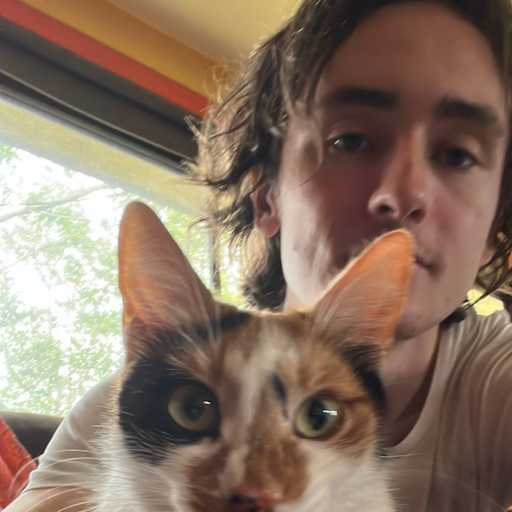 Profile image for pet sitter Cross