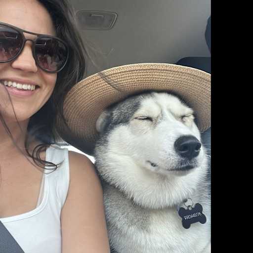 Profile image for pet sitter Greta