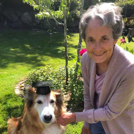 Profile image for pet sitters Keith & Judy
