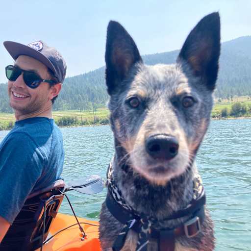 Profile image for pet sitter Jeremiah