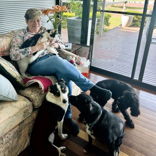 Profile image for pet sitter Anne
