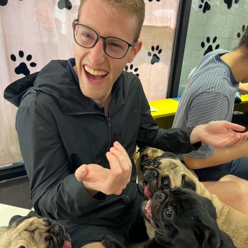 Profile image for pet sitter Tamir