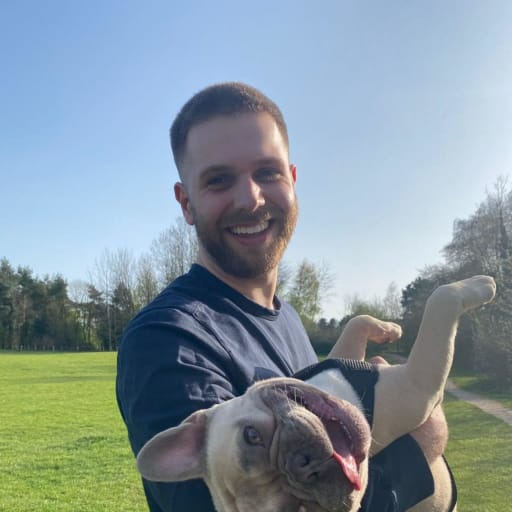 Profile image for pet sitter Joshua