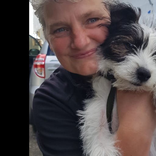 Profile image for pet sitter Cornelia