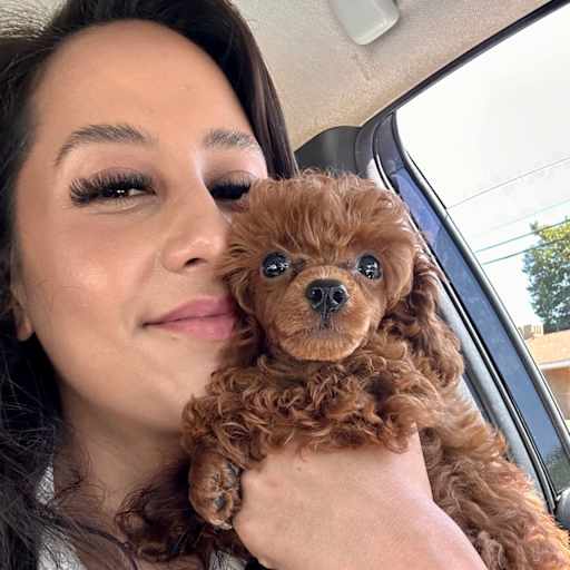 Profile image for pet sitter Bexaida