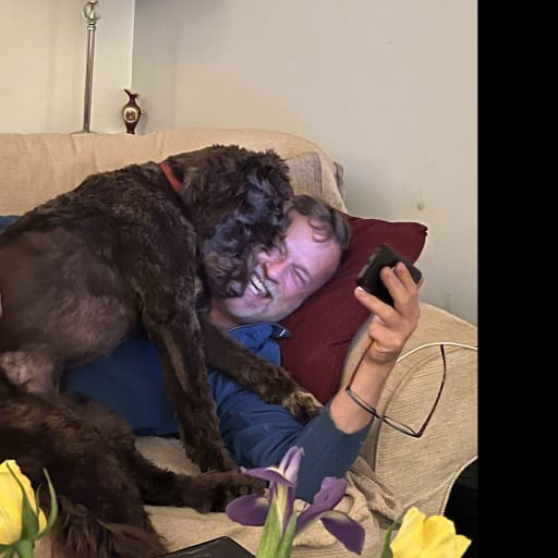 Profile image for pet sitter Mark