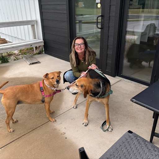 Profile image for pet sitter Michele