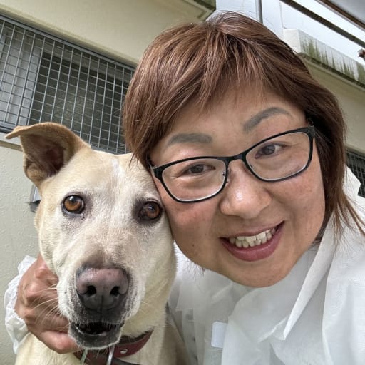 Profile image for pet sitter Atsuko