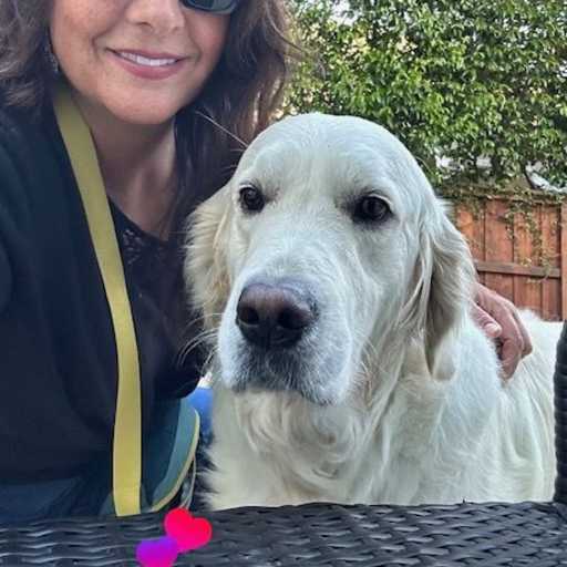 Profile image for pet sitter Sara