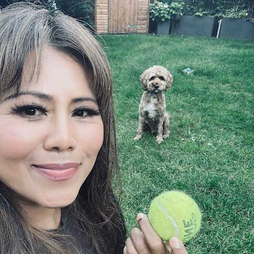 Profile image for pet sitter Triya