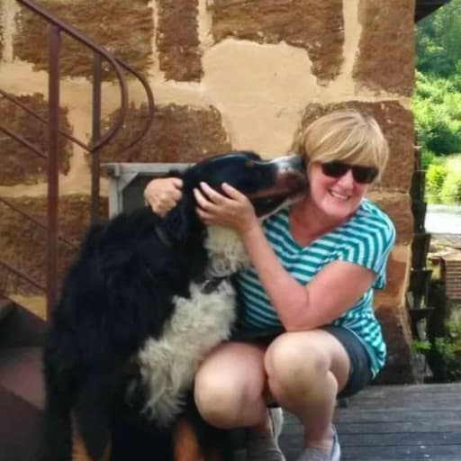 Profile image for pet sitters Val & James