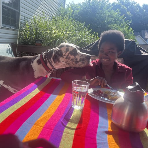 Profile image for pet sitter Desiree