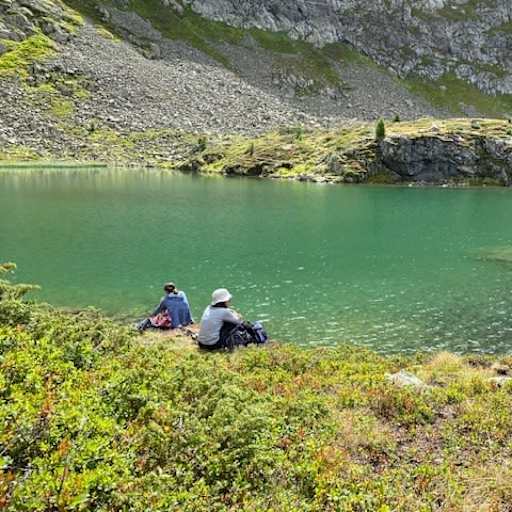 Profile image for pet sitter Sylvia