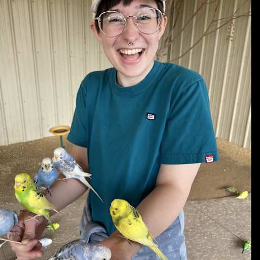 Profile image for pet sitter Abigayle