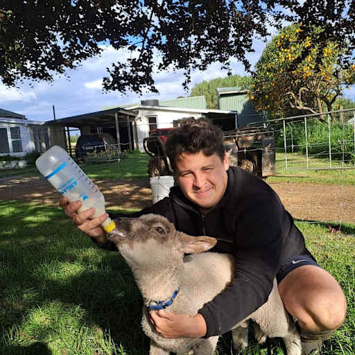 Profile image for pet sitter Leo