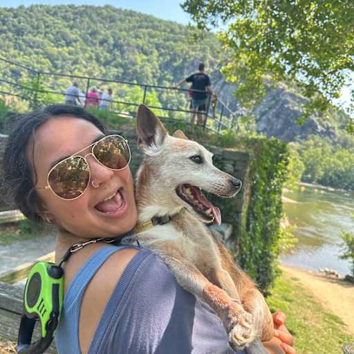 Profile image for pet sitter Hannah