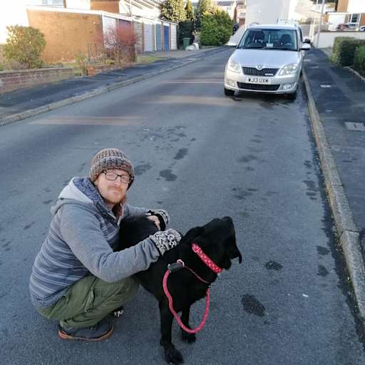 Profile image for pet sitter James