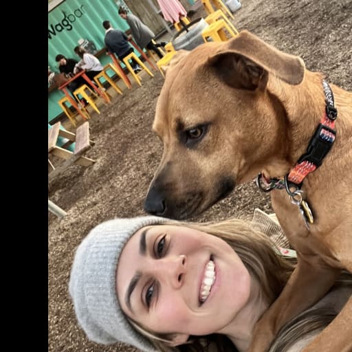 Profile image for pet sitter The Levys