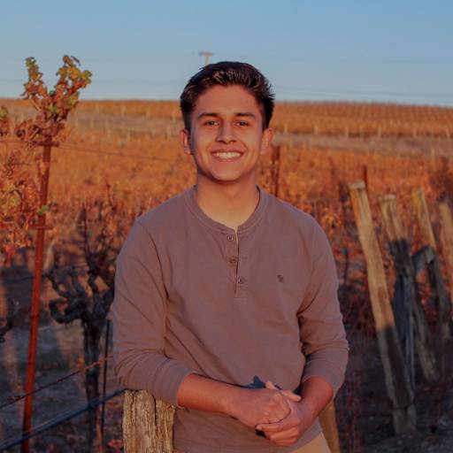 Profile image for pet sitter Luis