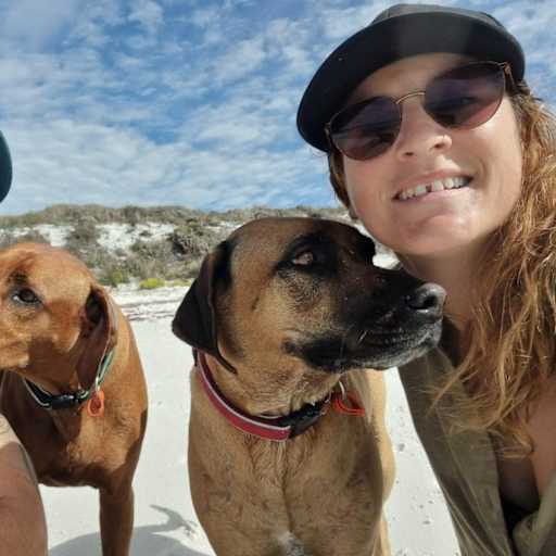 Profile image for pet sitters Daniel & Charlotte