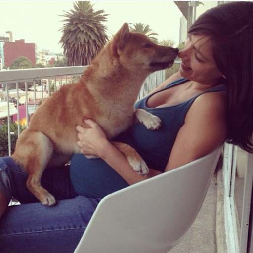 Profile image for pet sitters Adriana & Mario