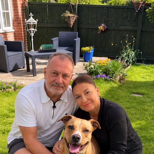 Profile image for pet sitters David & Jane