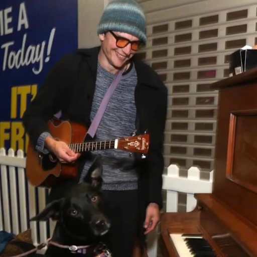 Profile image for pet sitter Carl