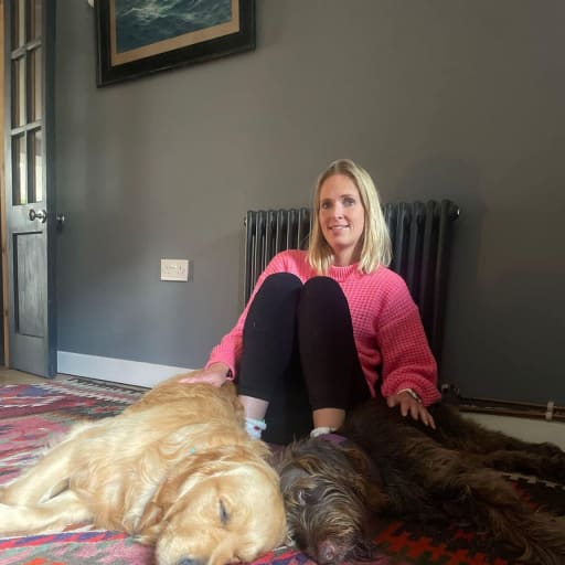 Profile image for pet sitter Sarah Bee